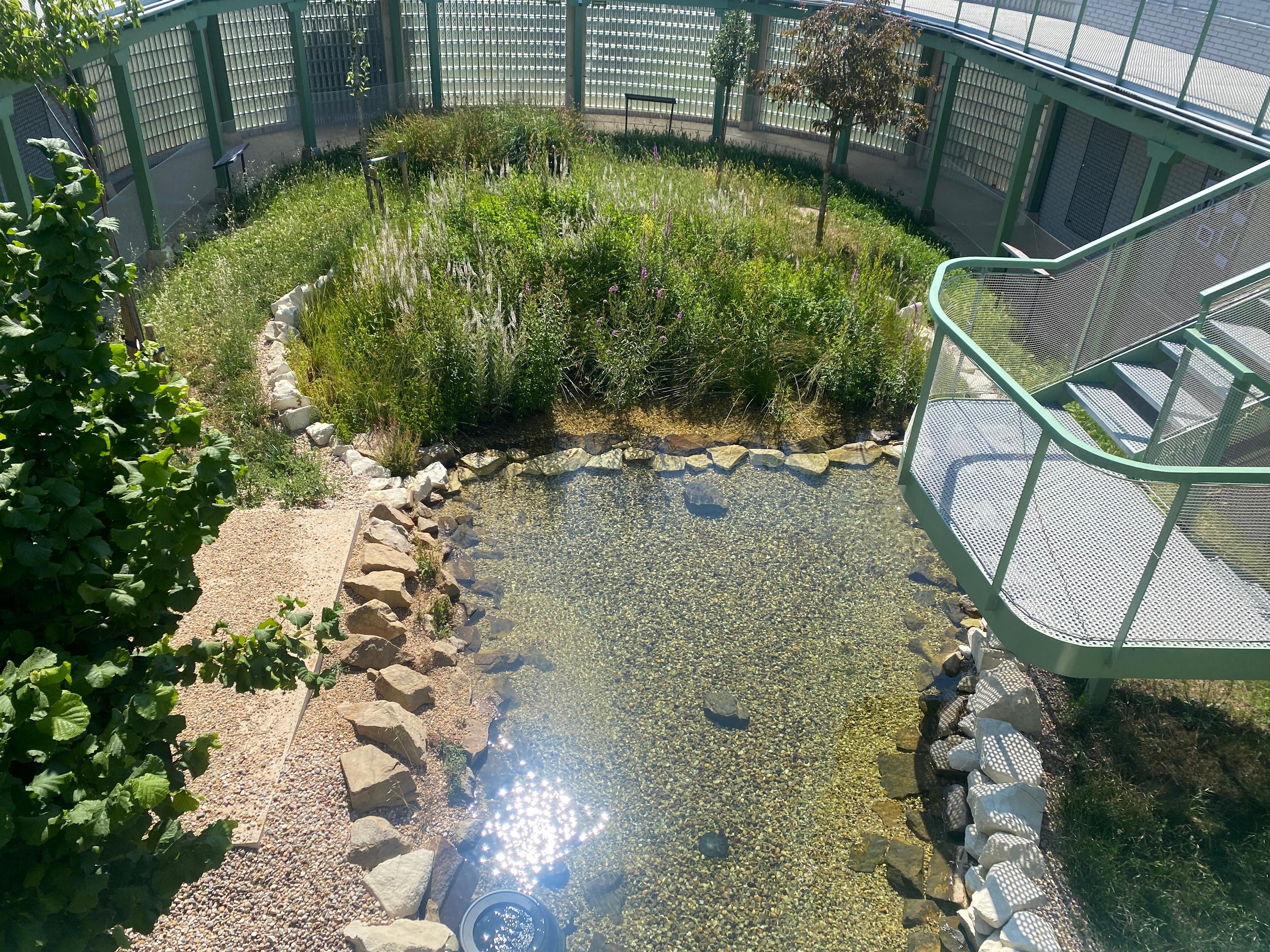 Centro de Biodiversidad de Burgos